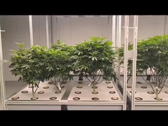 Υδροπονικό σύστημα αεροπονικής θερμοκηπίου